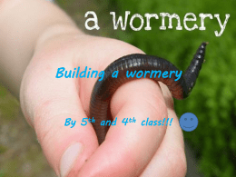 Build a wormory