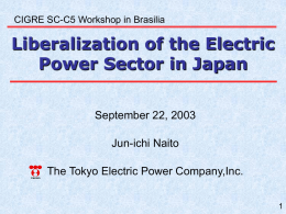 PowerPoint プレゼンテーション