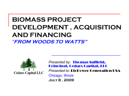Biomass Project Development and Finance