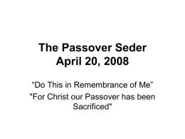 The Passover Seder April 3, 2007