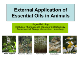 External Application Of Essential Oils In Animals