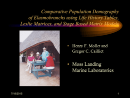 Comparative population demography of elasmobranchs using