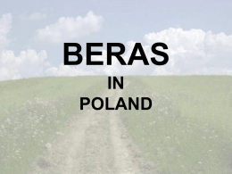 BRODNICA DISTRICT