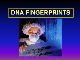 DNA FINGERPRINTS - Warren Hills Regional School District