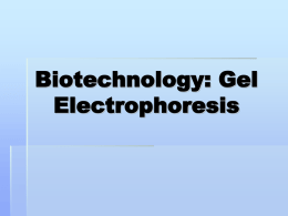 Biotechnology - Ms. Nevel's Biology Website