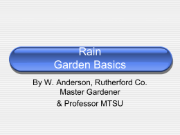 Rain Water Management