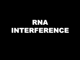 RNA INTERFERENCE