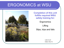 OFFICE ERGONOMICS - Washington State University Spokane