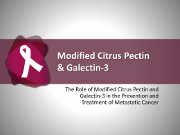 Modified Citrus Pectin & Galectin-3