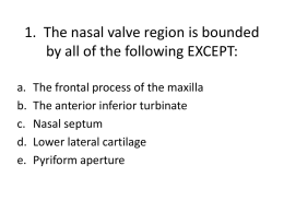 1. The nasal valve region is bounded by:
