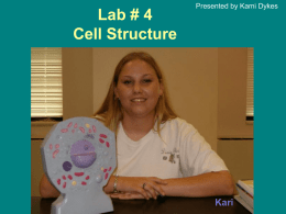 Lab # 4 Cell Structure - Home Page of Ken Jones