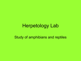 Herpetology Lab - Mt. SAC Faculty Contact Directory