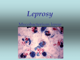 Leprosy - Penn State York