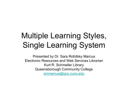 Multiple Learning Styles, Single Learning System