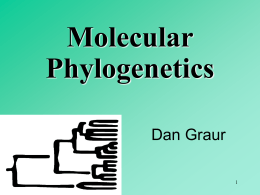 Molecular Phylogenetics