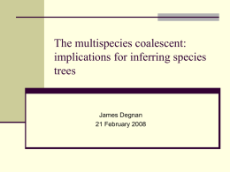 The multispecies coalescent: implications for inferring