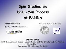 Spin studies via Drell-Yan processes at PANDA