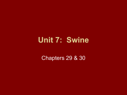 Unit 7: Swine - Kaskaskia College