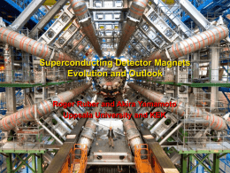 Superconducting Detector Magnets