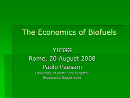 The Economics of Bio-fuels: an introduction