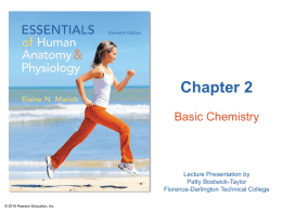 PowerPoint Presentation - Nerve activates contraction