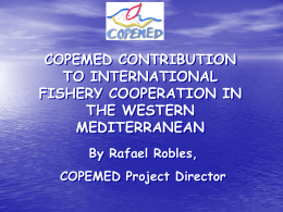 FINAL REPORT MEDITERRANEAN DOLPHINFISH FISHERY