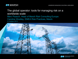 The global operator: tools for managing risk on a