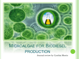 Algae for biodiesel - University of Michigan Dearborn