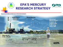 Overview of ORD Mercury Research