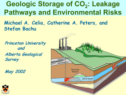 CO2 Storage in Deep Saline Aquifers