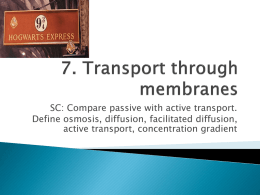7. Transport through membranes