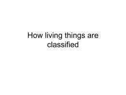 How living things are classified
