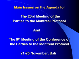 Issues before the 25th Open-Ended Working Group Meeting of