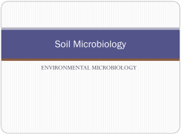 Soil Microbiology - Bhupalaka's Blog