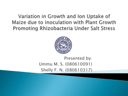 Variation in Growth and Ion Uptake of Maize due to