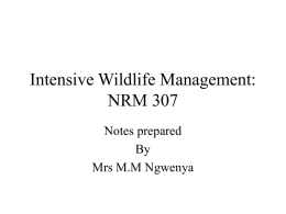 Intensive Wildlife Management: NRM 307