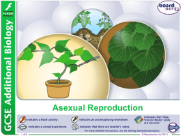 Asexual Reproduction - Thomas A. Stewart Secondary School