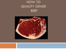 How to Quality Grade Meat - Nelson Academy of Agricultural