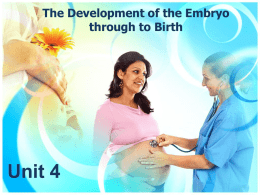 The Development of the Embryo through to New Born