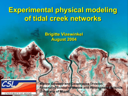 Physical modeling of tidal creek networks