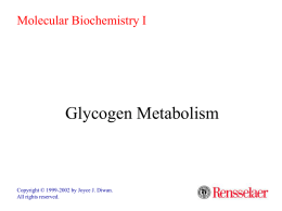 Glycogen Metabolism - Universitas Brawijaya