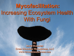 Mycoremediation of Contaminated Water and Soils