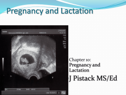 Pregnancy and Lactation - Wilkes