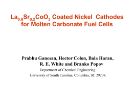 MCFC Research at USC - University of South Carolina
