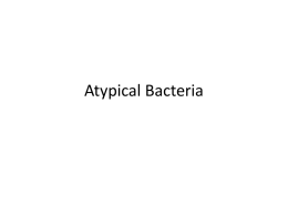 Atypical Bacteria - Mt. SAC Faculty Contact Directory