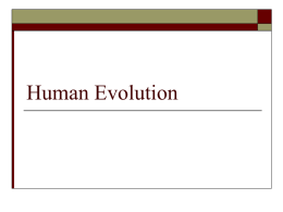 Human Evolution - Woodstown-Pilesgrove Regional School