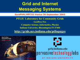 Remarks on Grids e-Science CyberInfrastructure and Peer