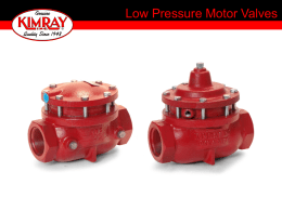 Low Pressure Motor Valves
