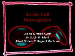 Sickle Cell Hemoglobin