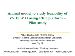 Animal model to study feasibility of VV ECMO using RRT